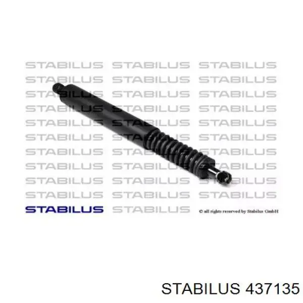 Compre 437135 Stabilus Amortecedor de tampa de porta-malas (de 3ª/5ª porta traseira)