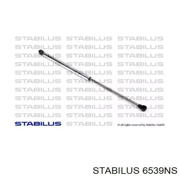 Compre 6539NS Stabilus Amortecedor de tampa de porta-malas (de 3ª/5ª porta traseira)