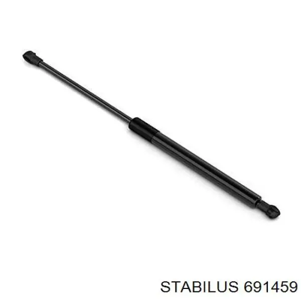 Compre 51247348917 BMW Amortecedor de tampa de porta-malas (de 3ª/5ª porta traseira)