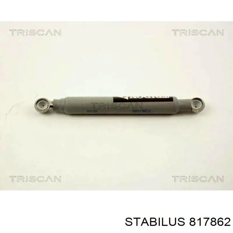 Amortecedor da Bomba de Combustível de Pressão Alta Stabilus 817862 preço, a partir de 35,67 USD