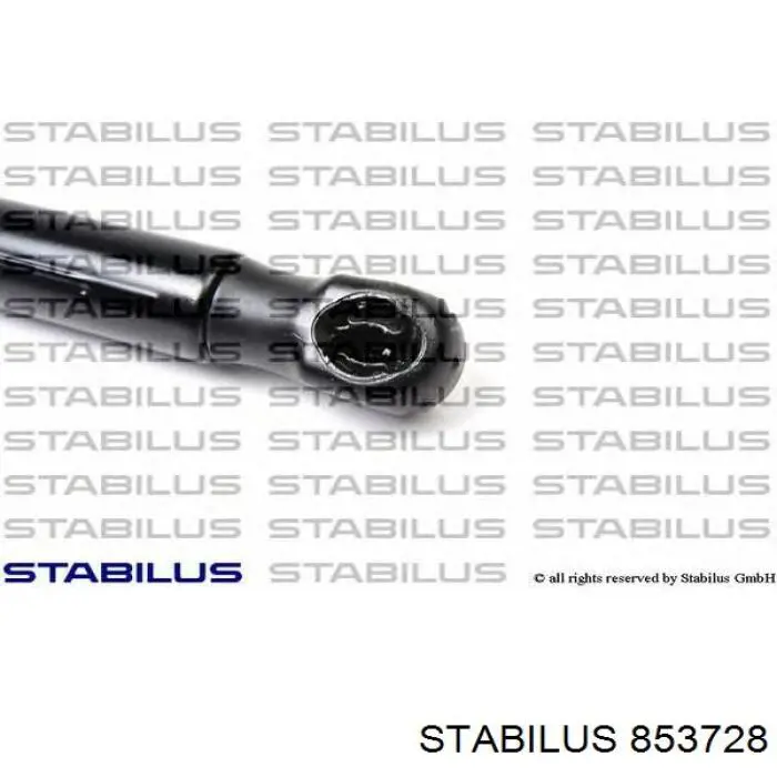 Compre 8S7827552A VAG Amortecedor de tampa de porta-malas (de 3ª/5ª porta traseira)