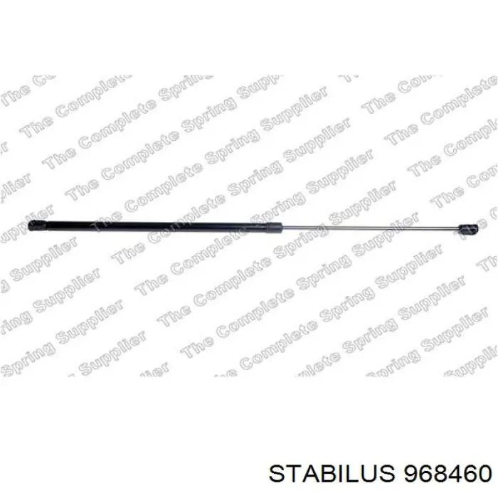 Compre 9806879380 Peugeot/Citroen Amortecedor de tampa de porta-malas (de 3ª/5ª porta traseira)
