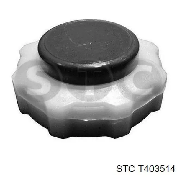 Compre T403514 STC Tampa (tampão) do tanque de expansão