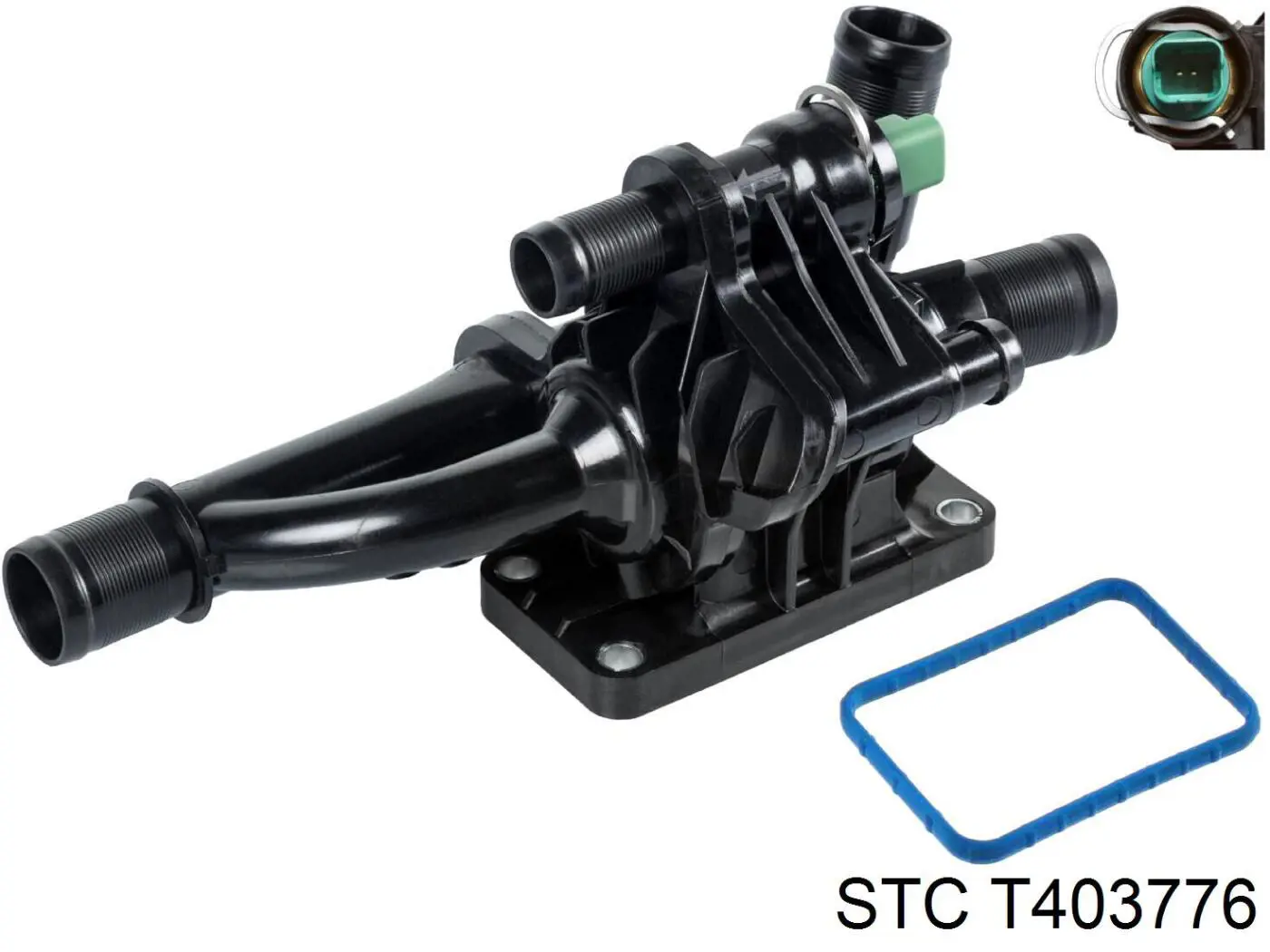 T403776 STC Caixa do termostato