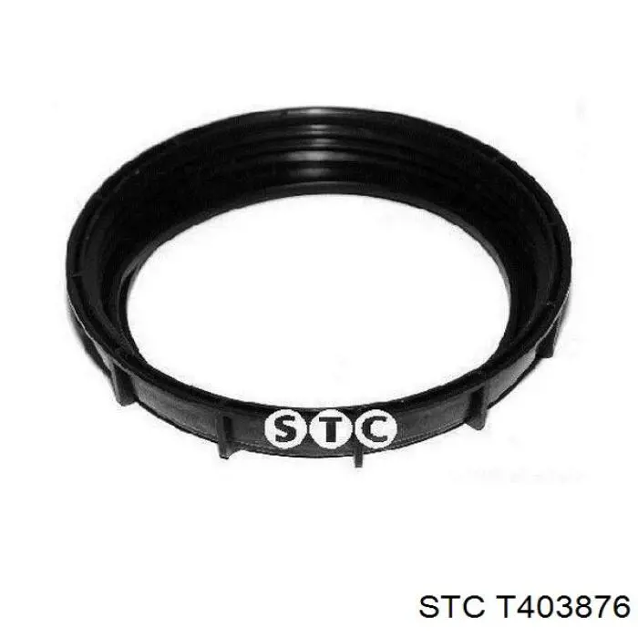 Compre T403876 STC Tampa da bomba de combustível
