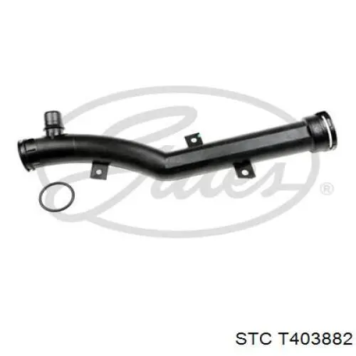 Compre T403882 STC Mangueira (cano derivado) do termostato