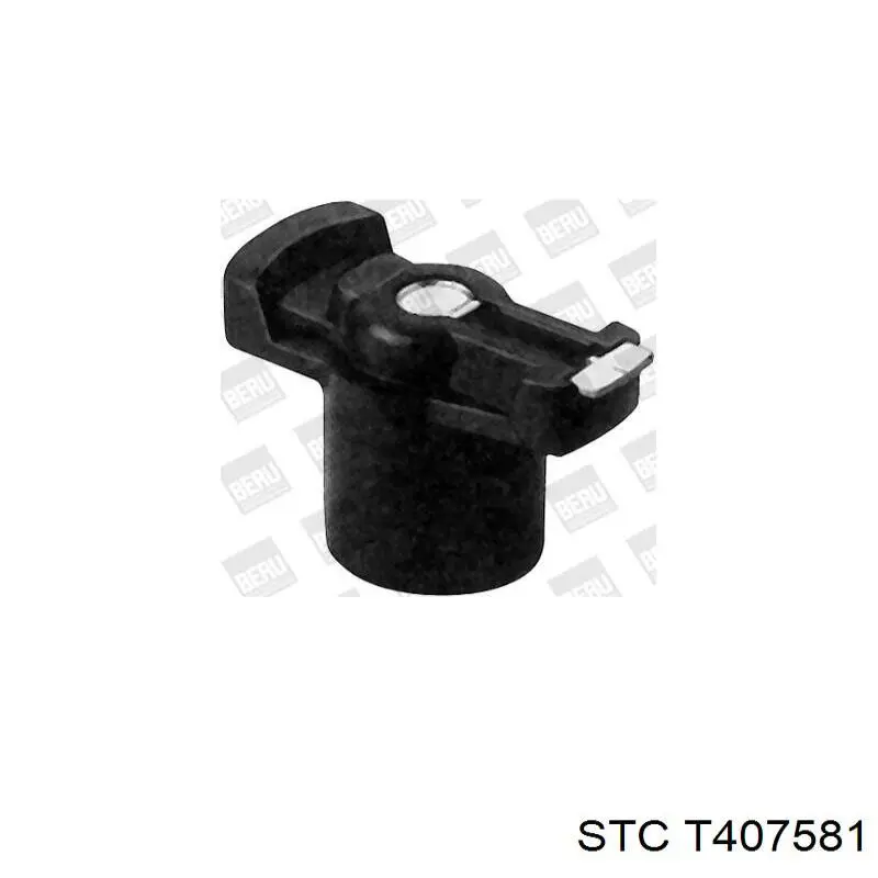 Compre 034024 Cautex 