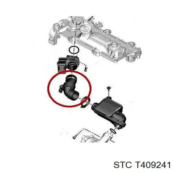  Cautex 036702