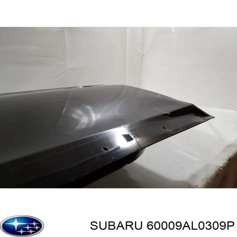  Subaru 60009AL0309P preço, a partir de 354,13 USD