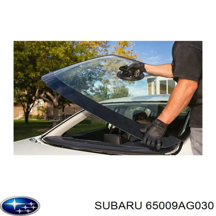 65009AG030NU Subaru Pára-brisas