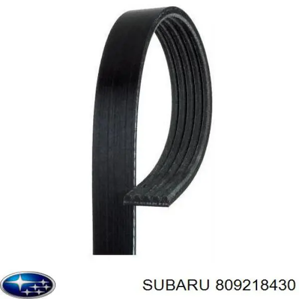 Compre 809218430 Subaru Correia dos conjuntos de transmissão