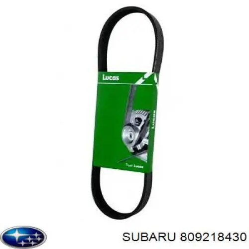 Compre 809218430 Subaru Correia dos conjuntos de transmissão