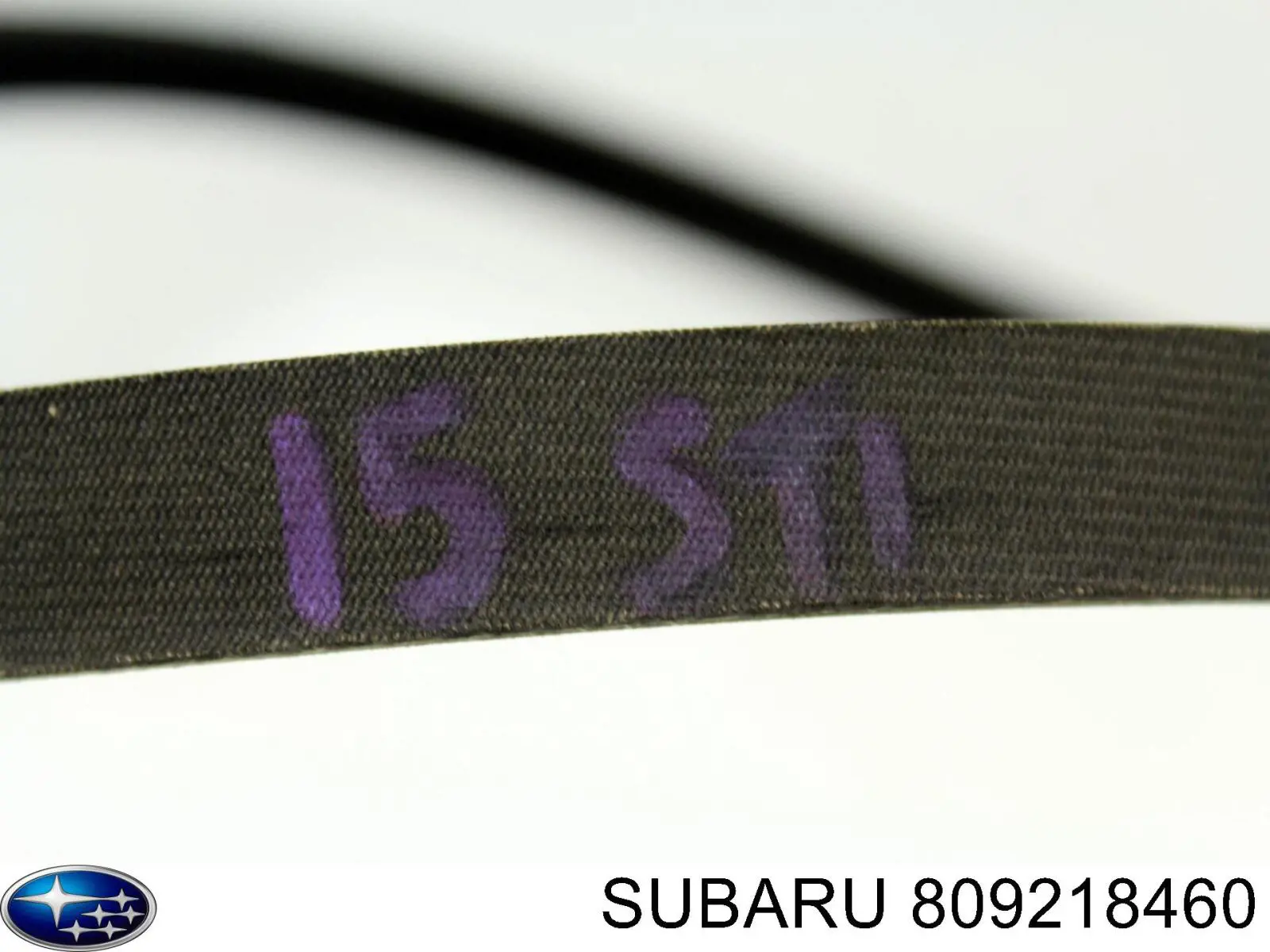 Correia dos conjuntos de transmissão Subaru 809218460 preço, a partir de 10,04 USD
