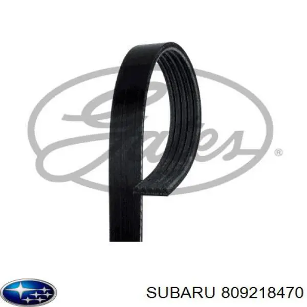 809218470 Subaru Correia dos conjuntos de transmissão