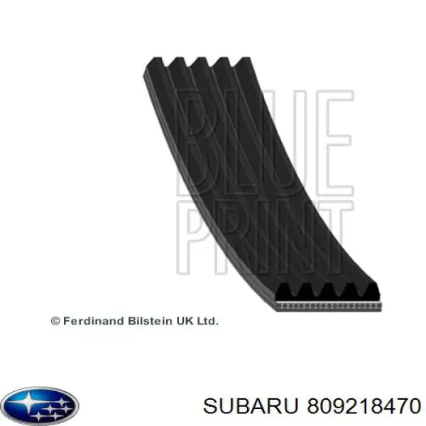 Correia dos conjuntos de transmissão 809218470 Subaru