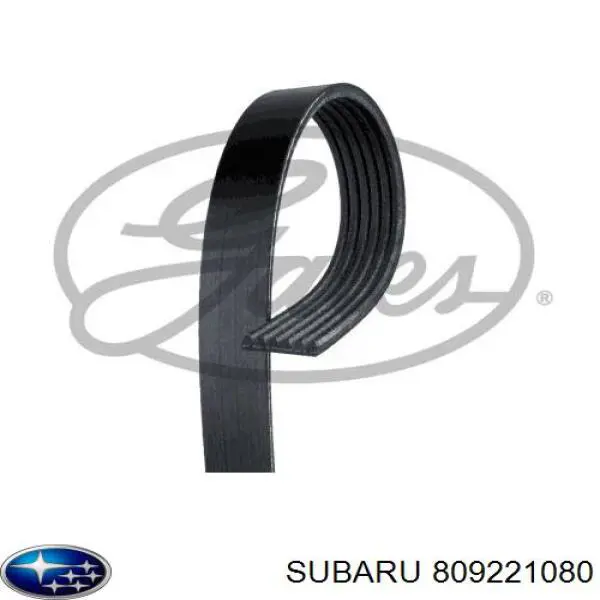 809221080 Subaru Correia dos conjuntos de transmissão
