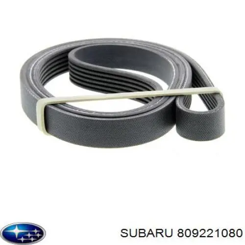 Correia dos conjuntos de transmissão Subaru 809221080 preço, a partir de 18,16 USD