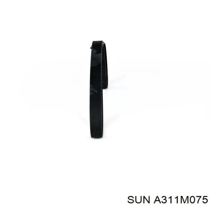 A311M075 SUN Correia da árvore de equilibração