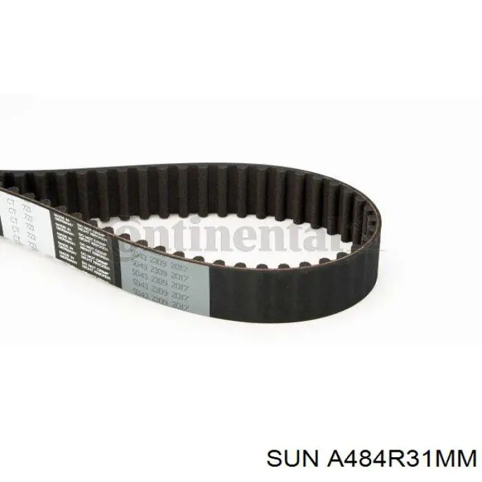 Correia do mecanismo de distribuição de gás SUN A484R31MM preço, a partir de 50,57 USD