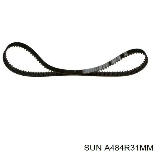Correia do mecanismo de distribuição de gás A484R31MM SUN