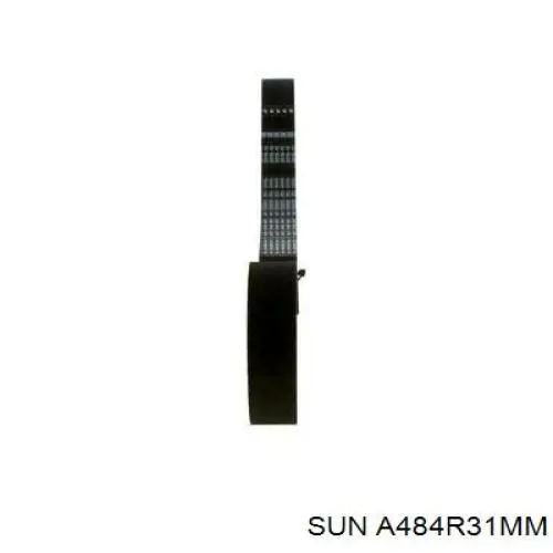 Compre A484R31MM SUN Correia do mecanismo de distribuição de gás