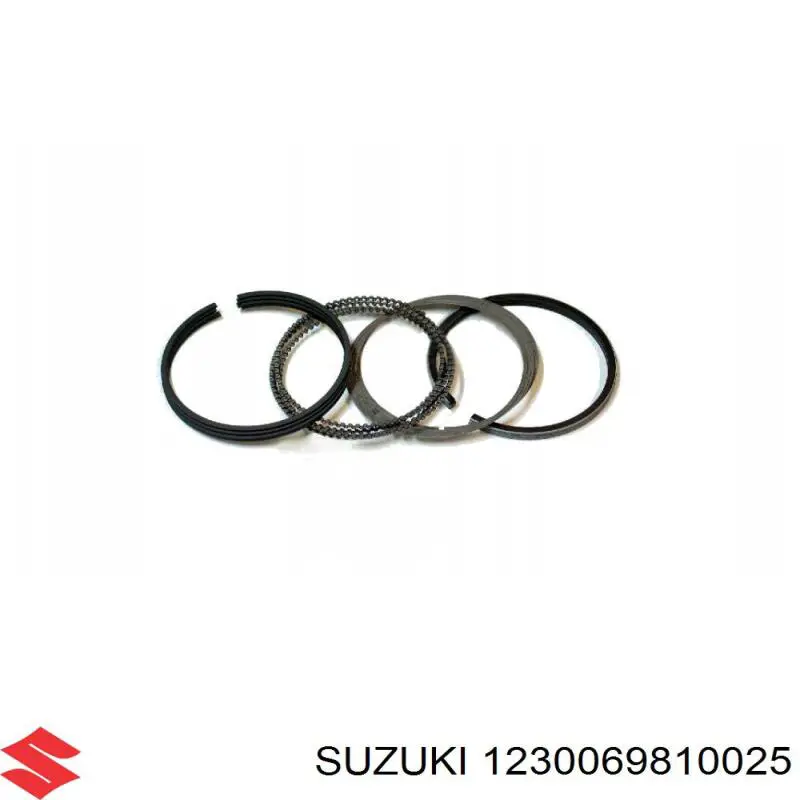 Compre 1230069810025 Suzuki 