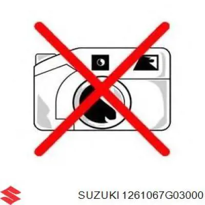1261067G03000 Suzuki Polia de cambota