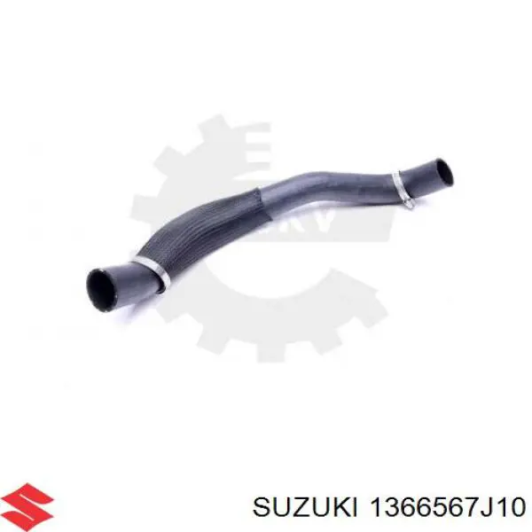 1366567J10 Suzuki Mangueira (cano derivado) de intercooler