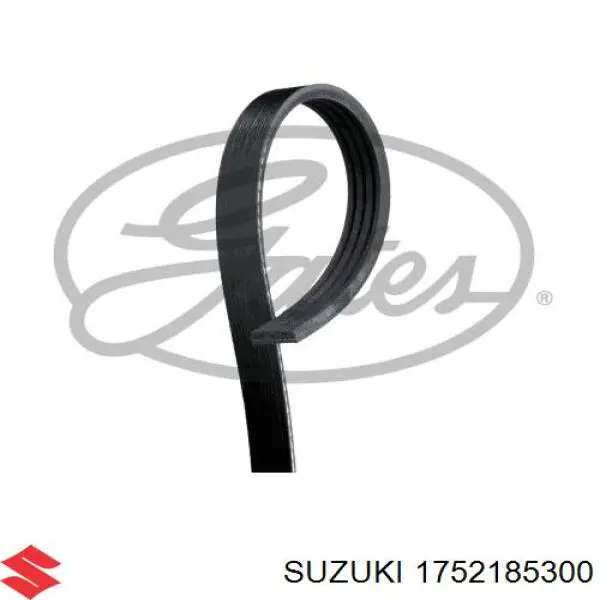 1752185300 Suzuki Correia dos conjuntos de transmissão