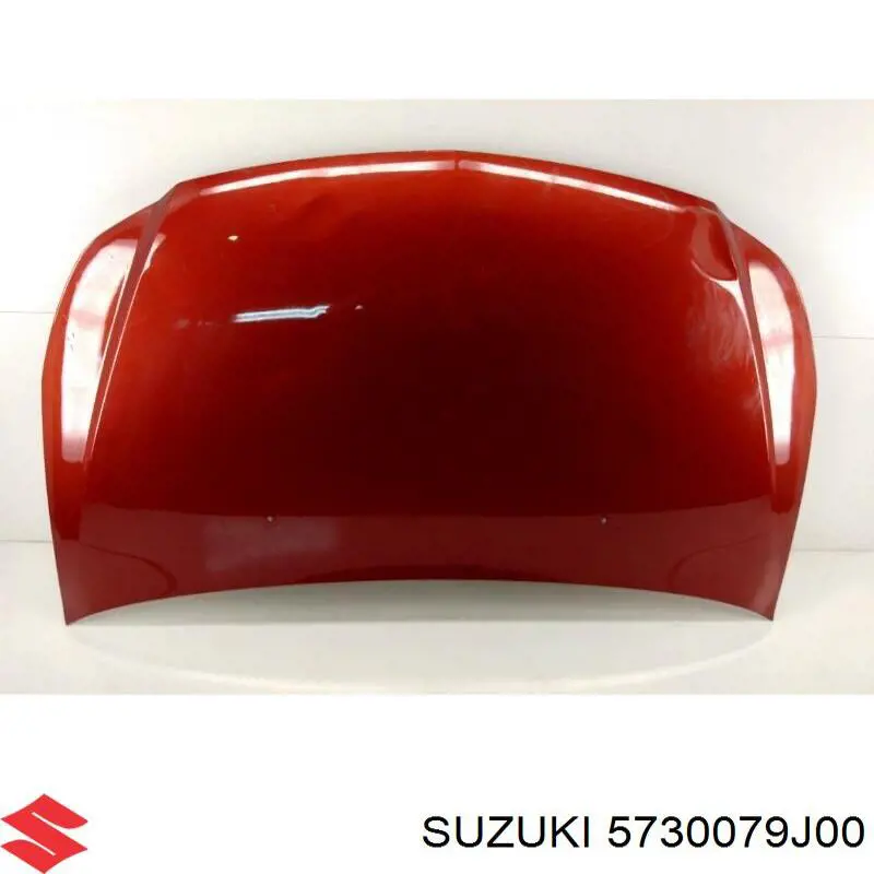 5730079J00 Suzuki Capota