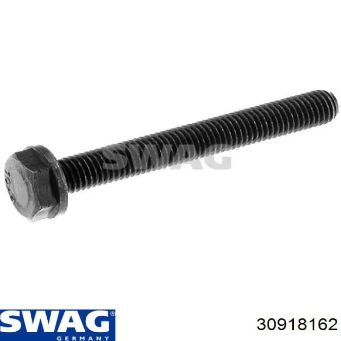 30918162 Swag Parafuso da polia de cambota