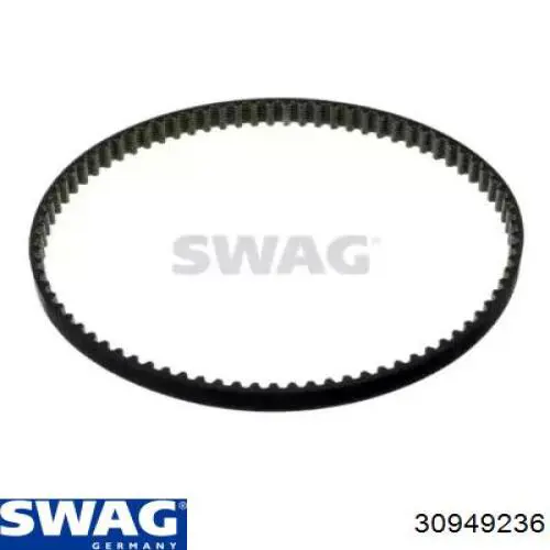 30949236 Swag Correia dos conjuntos de transmissão