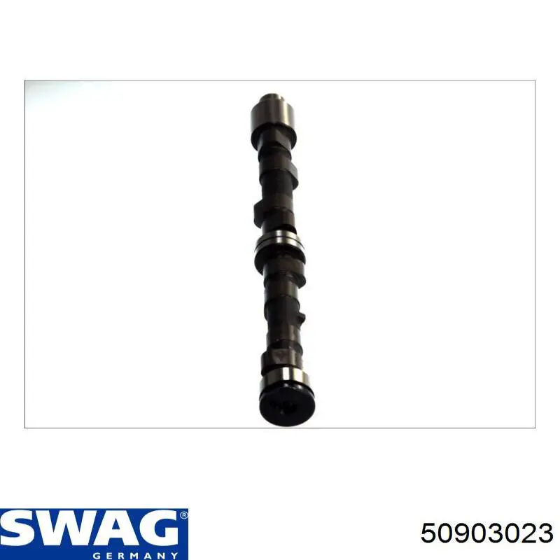 Compre 50903023 Swag Árvore distribuidora de motor