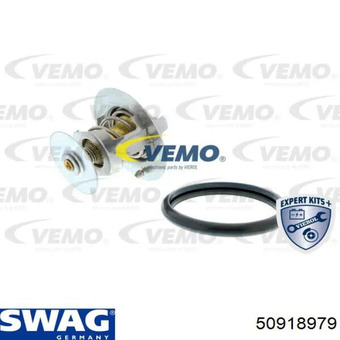 Compre 50918979 Swag Termostato