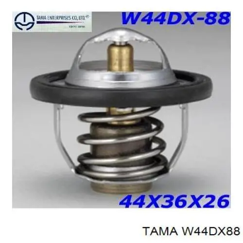 W44DX88 Tama Termostato