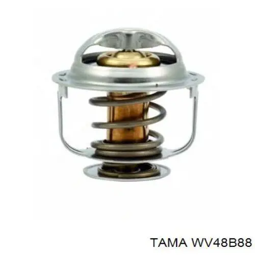 WV48B88 Tama Termostato
