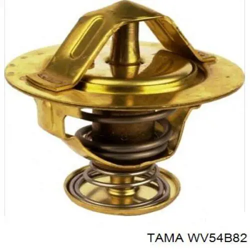 Compre WV54B82 Tama Termostato