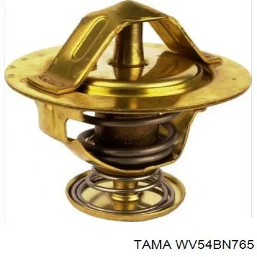 WV54BN765 Tama Termostato