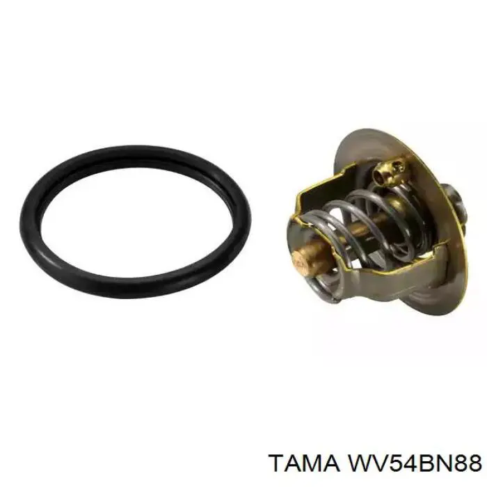 Compre WV54BN88 Tama Termostato