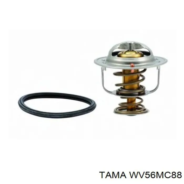 Termostato WV56MC88 Tama