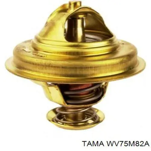WV75M82A Tama Termostato