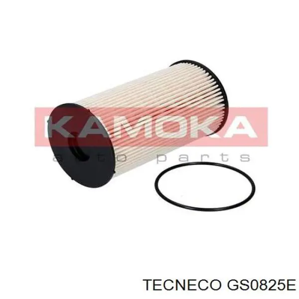 Compre GS0825E Tecneco Filtro de combustível