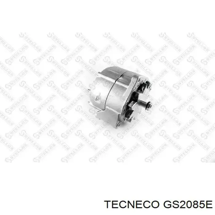 GS2085E Tecneco Filtro de combustível