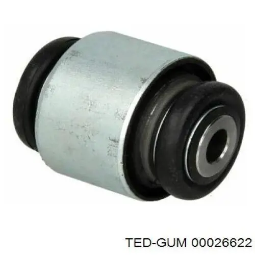 00026622 Ted-gum 