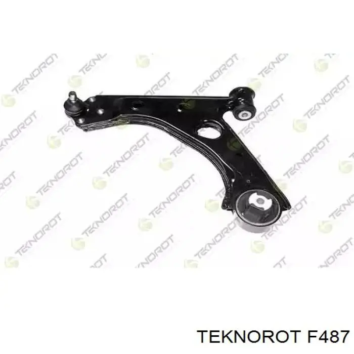 Compre F487 Teknorot Braço oscilante inferior esquerdo de suspensão dianteira