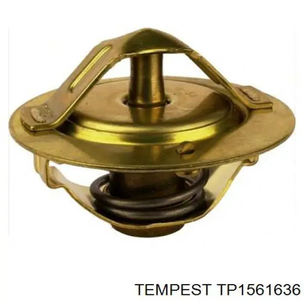 Radiador de esfriamento de motor Tempest TP1561636