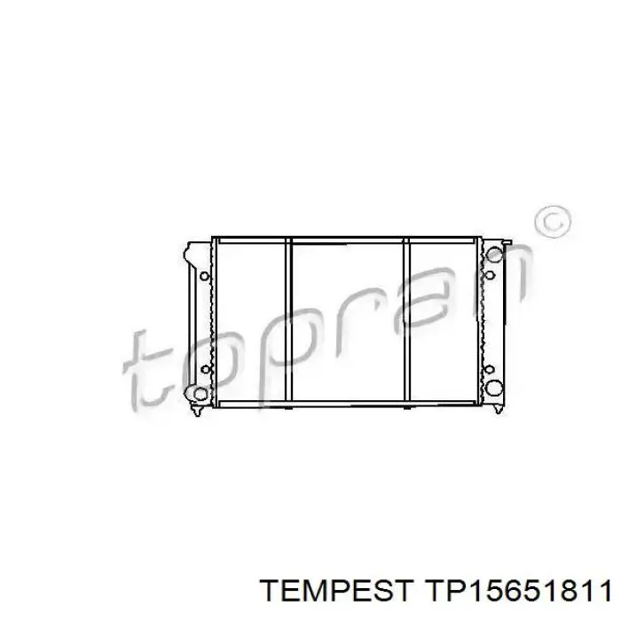 Compre TP15651811 Tempest Radiador de esfriamento de motor