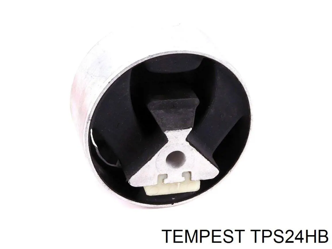 Limpa-pára-brisas do pára-brisas de condutor TPS24HB Tempest