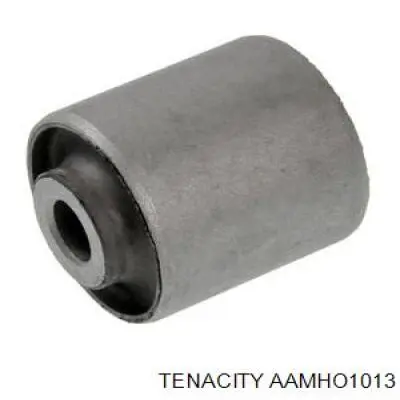  Tenacity AAMHO1013