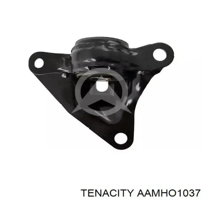  Tenacity AAMHO1037